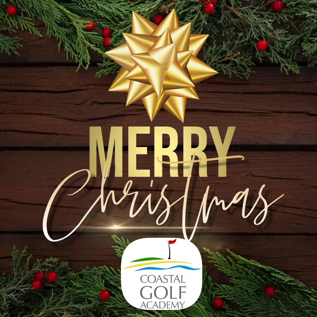 wishing-everyone-a-very-merry-christmas-and-a-happy-new-year